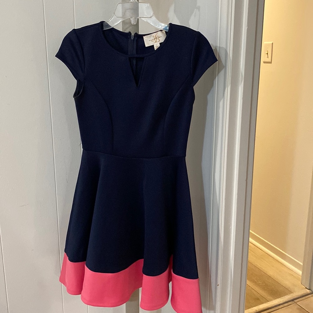 Navy Blue and pink above the knee dress. Like New!